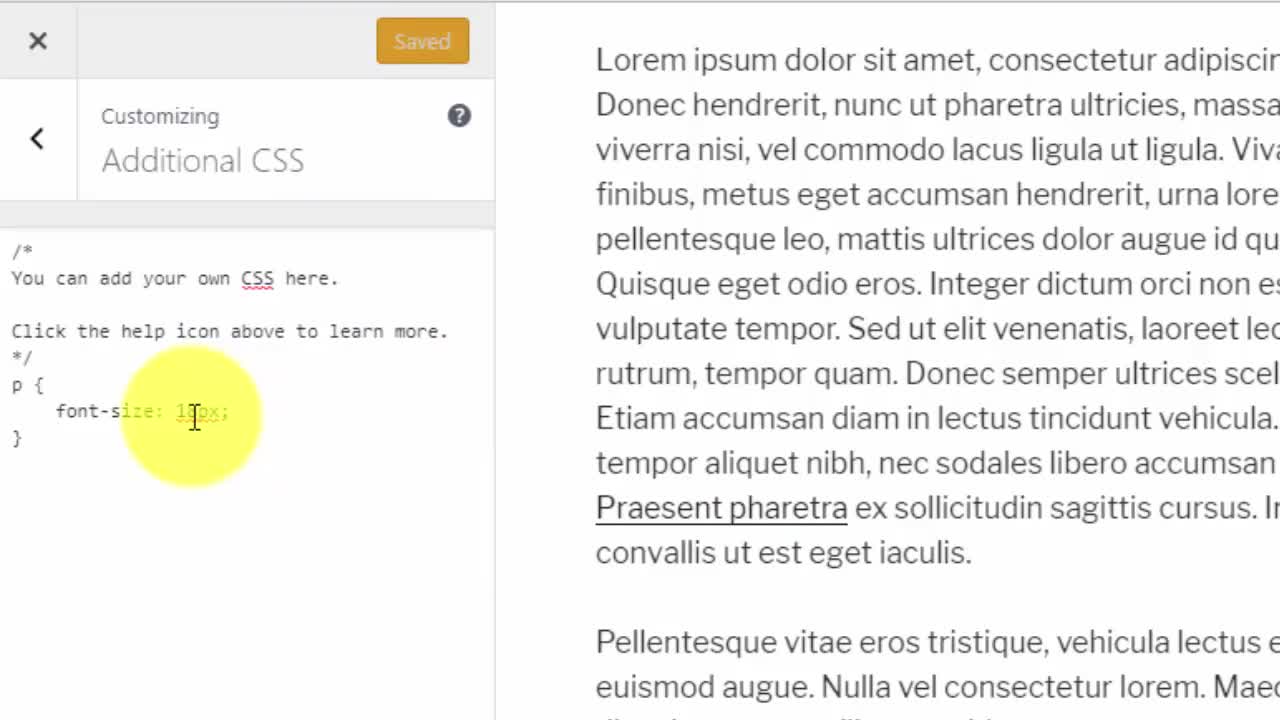 Custom CSS Change Font Size Site Wide